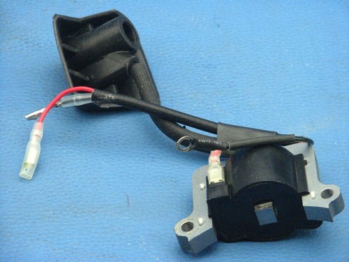 Bobina accensione einhell - da,