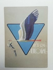 CARTOLINA 18° STORMO CICOGNE