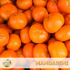 BOX da 9 kg di Mandarini