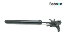 Gamba forcella anteriore