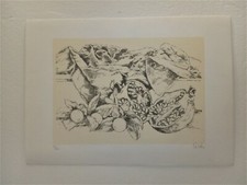 Pietro Cicoli litografia cm