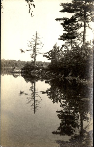 Pini riflessi echo lake - echo,