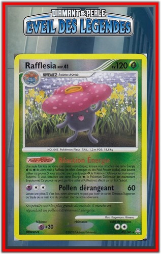 Rafflesia reverse - rafflesia,