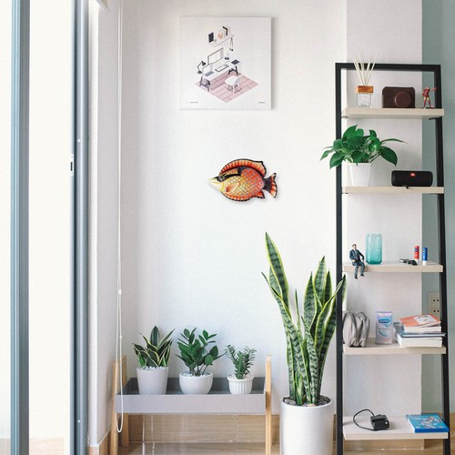 Decorazioni con pesci - decorazioni,