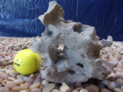 Texas holey rock - holey,