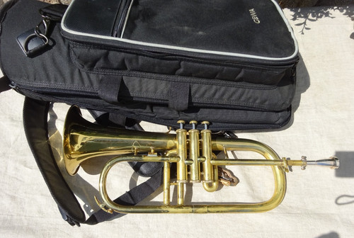 Flicorno amati afh - amati,