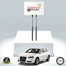 2 PISTONCINI BAGAGLIAIO AUDI