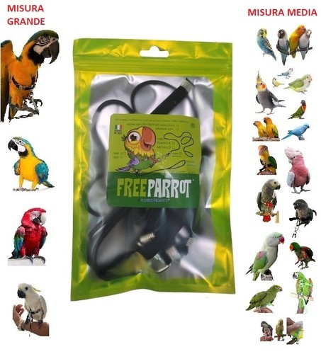 Pettorina 10mm plus nera