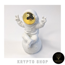 Crypto Moon Mission Spaceman astronauta personaggi seduti decorazione regalo NUOVO 