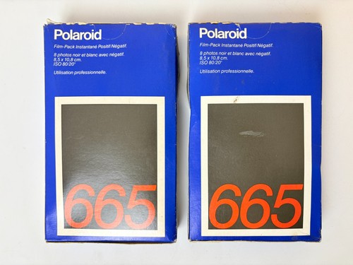 Polaroid 665 bianco - e, nero