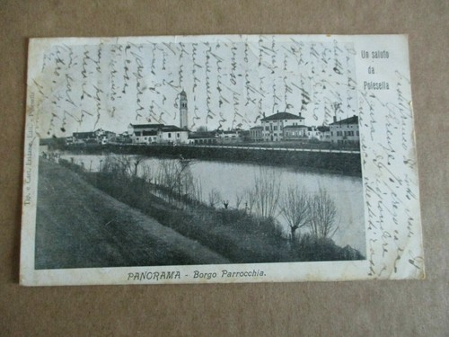 Cartolina polesella saluto - -,