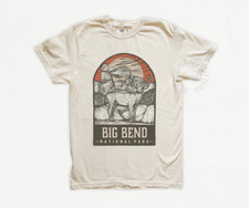 Big bend national park - big,