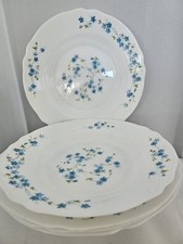 5 pezzi ARC France Arcopal 2