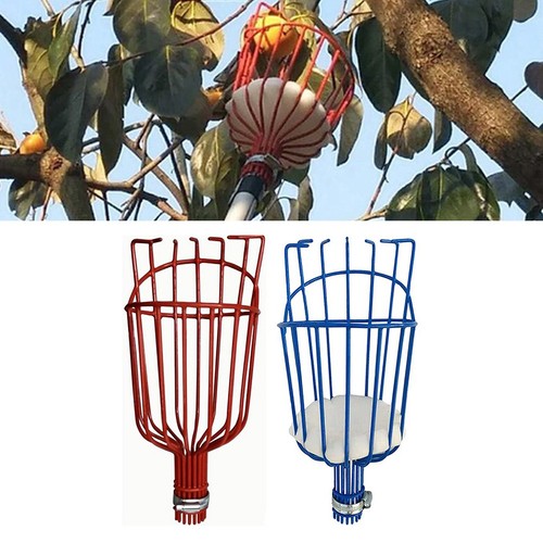 Strumento raccolta frutta
