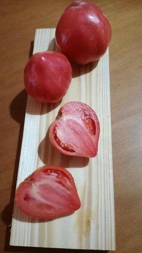 Semi pomodoro cuore - 50, di