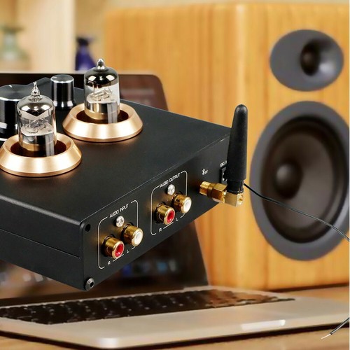 Brzhifi 6j5 tube - brzhifi,