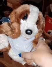 Sad Sam e Miele Peluche