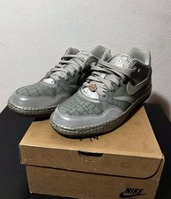 Nike X Mighty Crown Sky Force