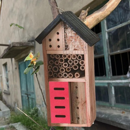 Decorazione giardino per - giardino,
