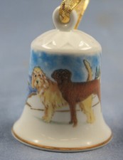 lontra levriero e plotta