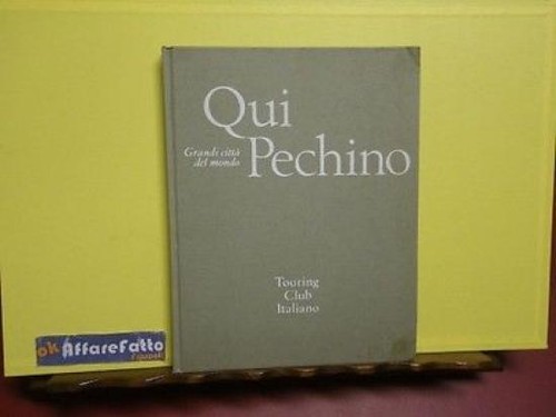 Art 938 libro grandi citta - 5.938,