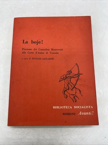 Boje rinaldo salvadori - boje!,