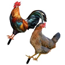  2 Pcs Statua Di Gallina Segni