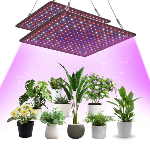 Confezione lampade led - lampade,