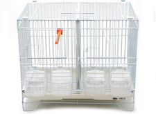 BPS Gabbia da incubazione