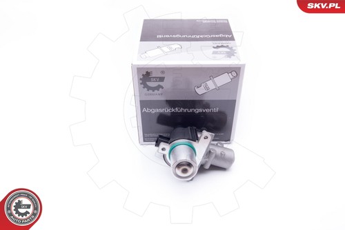 Valvola esen skv 14skv163 - skv, agr