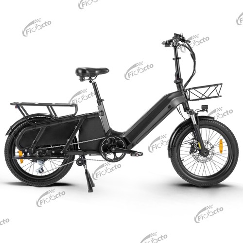 Cargo ebike pollici bici - 20,