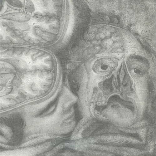 Genocide organ - -,