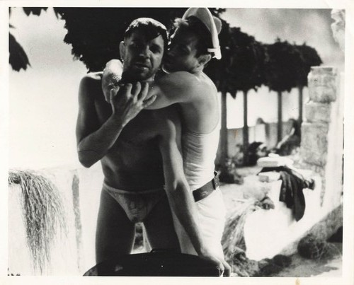 Querelle brad davis - brad, photo