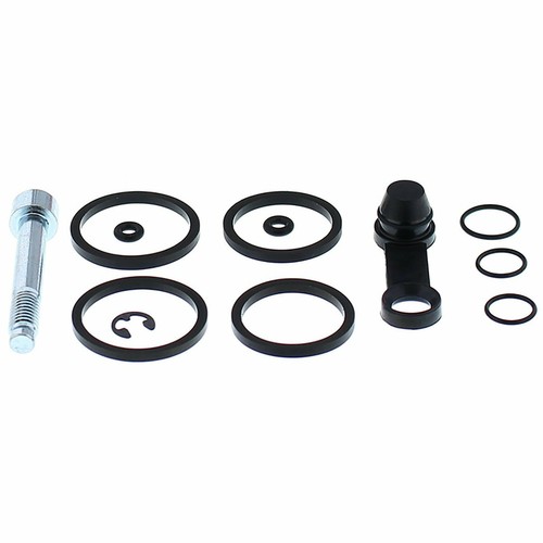 Kit revisione pinza freno - revisione,
