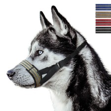 Museruola bocca cane animale