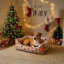 Leopet Cuccia Nataliazia Rodi