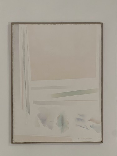 Riccardo guarneri carta su - ,