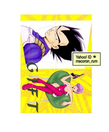 Dragon ball vegeta - dragon, bulma