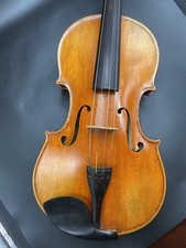 Viola Etichettata Giuseppe