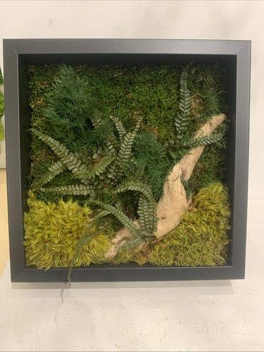 Quadro green muschio - quadro,