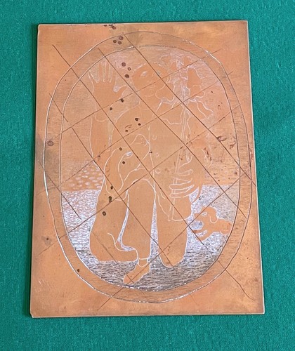 Giuseppe viviani 1898 - (1898, –