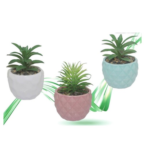 Vaso ceramiche per piantine - vaso,