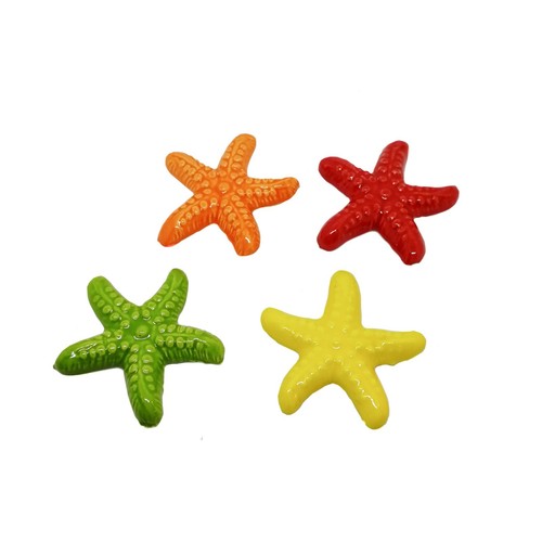 Calamita magnete stella marina