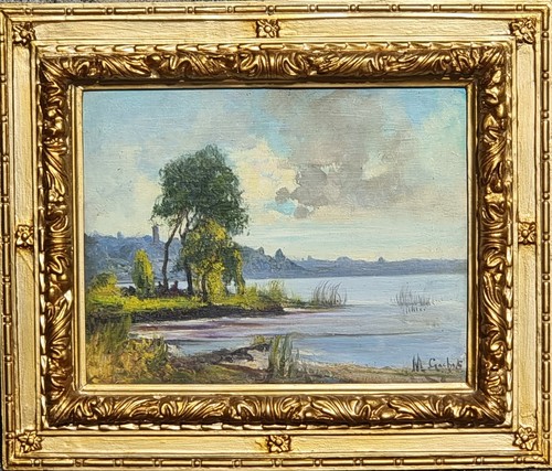 Mario gachet torino - mario, 1879