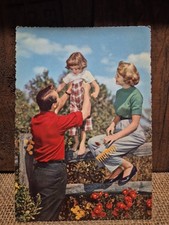 Vintage postcard 1950s happy - postcard,