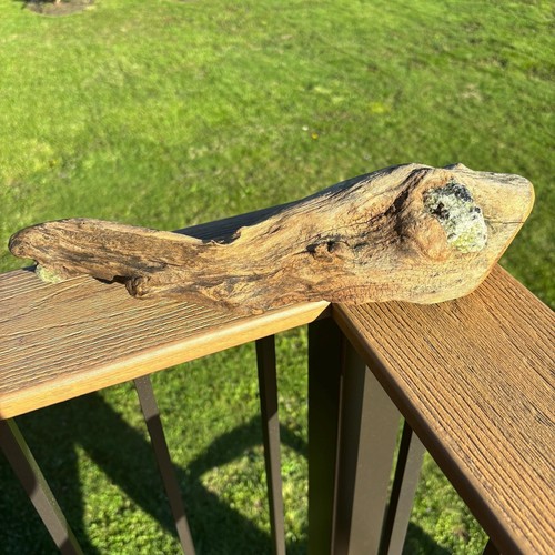 Legno alla deriva naturale