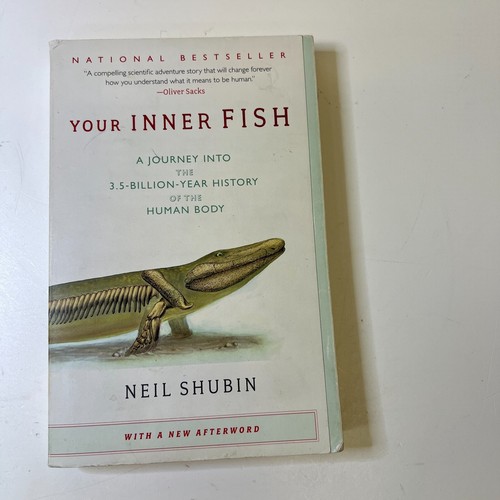 Your inner fish - your,