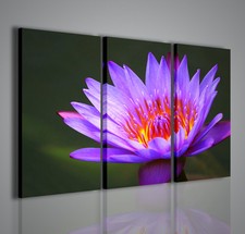 QUADRI MODERNI FLOWER WATER II