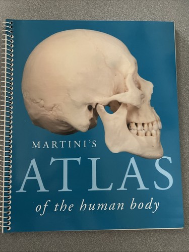 Martini atlas the - of, human