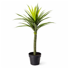Pianta di Yucca Artificiale